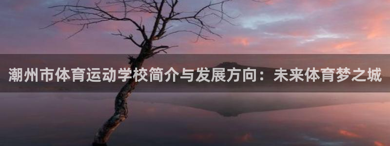3377体育官网下载平台注册要钱吗安全吗:潮州市体育运动学校