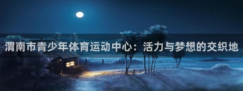 3377体育官网下载:渭南市青少年体育运动中心:活力与梦想的