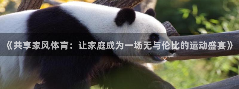 3377体育官方正版app官网:《共享家风体育:让家庭成为一