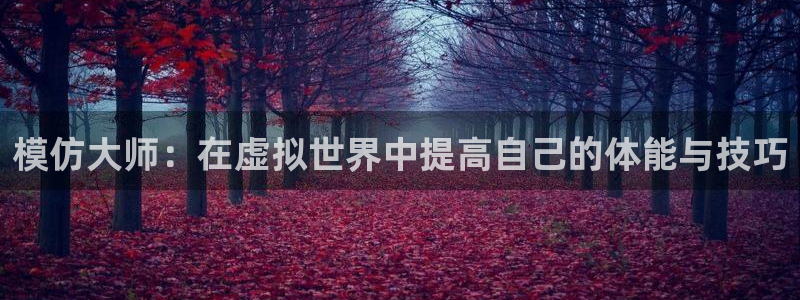 3377体育官方正版app集团官网网址:模仿大师:在虚拟世界