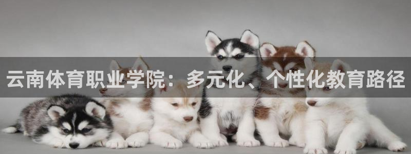 3377体育官方集团官网:云南体育职业学院:多元化、个性化教